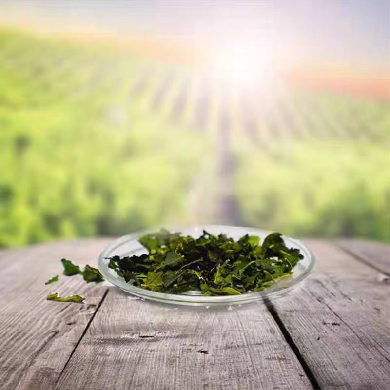 霜桑叶茶茯茶陕西安康石泉霜后桑叶桑葚叶桑树神仙草陕南茶叶礼盒,淘宝优惠券,粉丝福利购,淘宝优惠卷