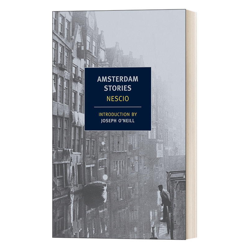 英文原版小说 Amsterdam Stories New York Review Books Classics 阿姆斯特丹故事 Nescio 英文版 进口英语原版书籍 - 图0