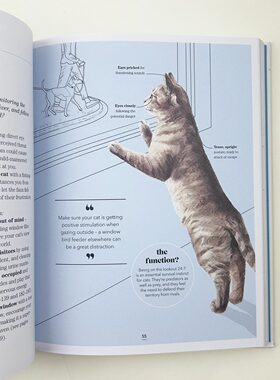 英文原版 What s My Cat Thinking 我的猫在想什么 猫咪的历史品种饲养护理训练指南 精装 英文版 进口英语原版书籍