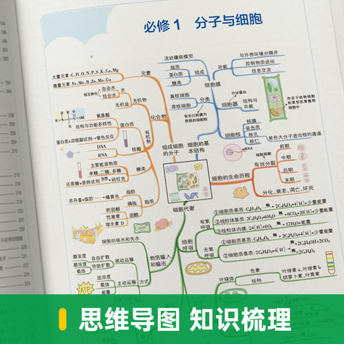 2026新高考新教材学霸提分笔记高中生物全彩版高一高二高三全国通用手写笔记高考知识清单生物基础知识手册大全高考复习讲解资料 - 图1