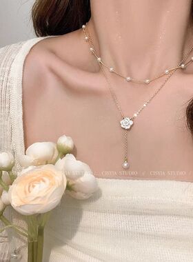 2025新款高级感轻奢锁骨链颈链