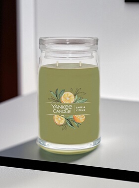 美国假日香橘杨洋citrus蜡烛