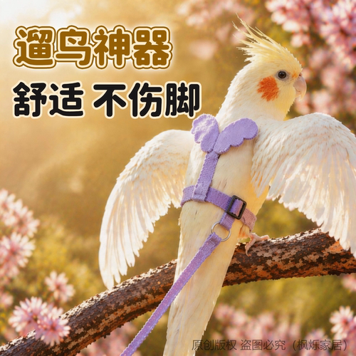 鹦鹉牵引绳外出放飞绳户外遛鸟神器玄凤牡丹超轻不伤脚背带小鸟芰 - 图1