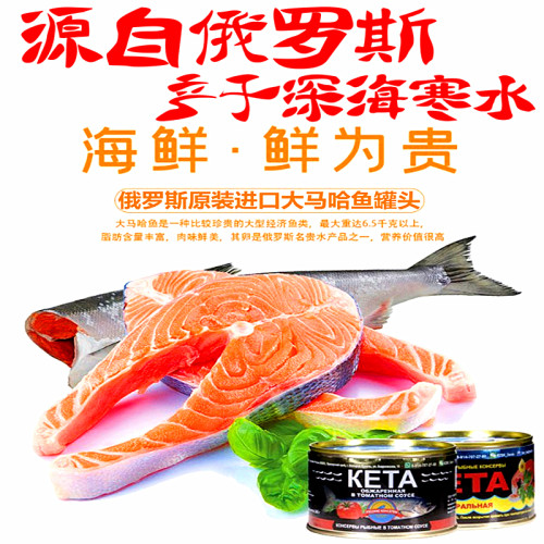 俄罗斯原装进口大马哈鱼罐头 油浸茄汁整块鱼罐头下酒菜即食罐头 - 图0