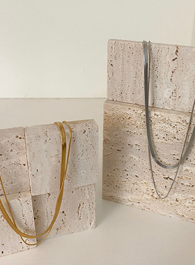 双层钛钢蛇骨链小众不掉色金银项链女欧美高级锁骨链百搭嘻哈配饰