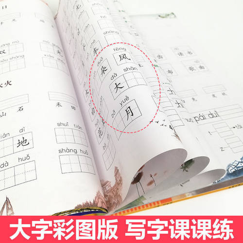 官方正版小学生看拼音写词语生字注音一二三四五六年级上下册语文专项训练人教版彩绘版同步训练题拼音写词语字词句段训练乐学熊 - 图2