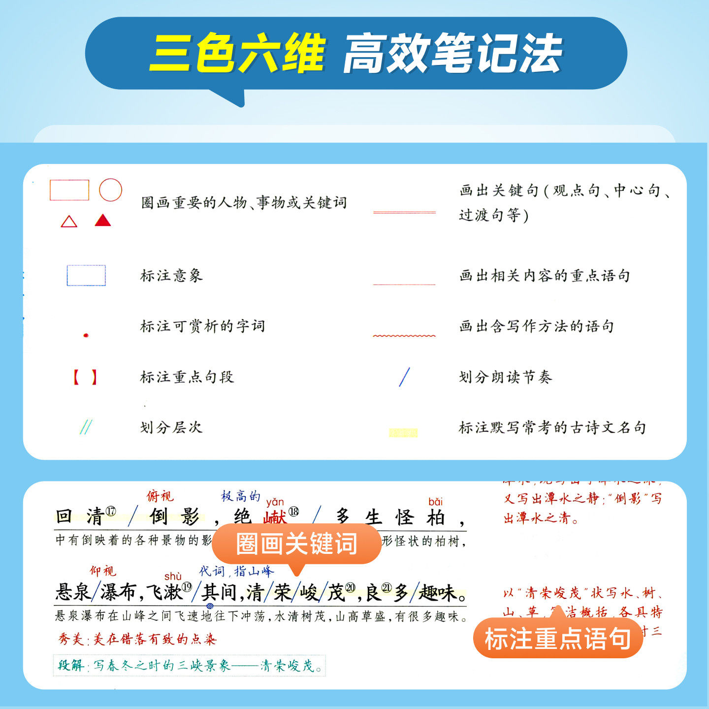 2026秋版状元大课堂七八九年级上册语文数学英语物理化学政治历史河南专版 初中初一二三上教材同步讲解课堂笔记全解析 状元成才路