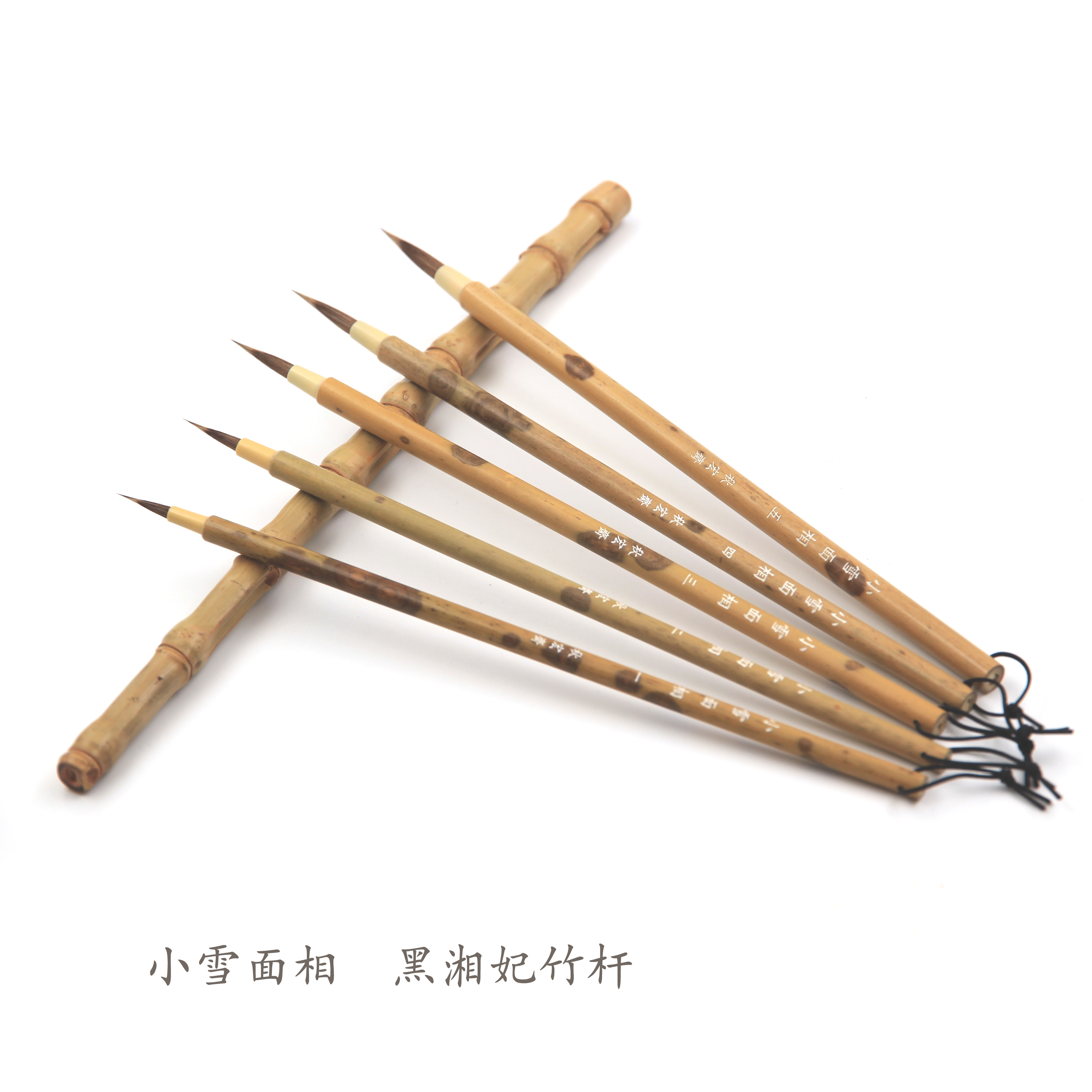 白小雪推荐品牌 新人首单立减十元 21年6月 淘宝海外