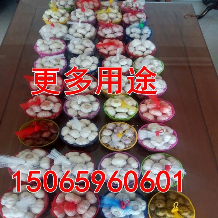 鸡蛋篮子装鸡蛋网袋网兜密网包装篓塑料筐水果蓝土鸡蛋筐低价批发,淘宝优惠券,粉丝福利购,淘宝优惠卷