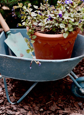 湖蓝色复古推车花器杂货木手柄