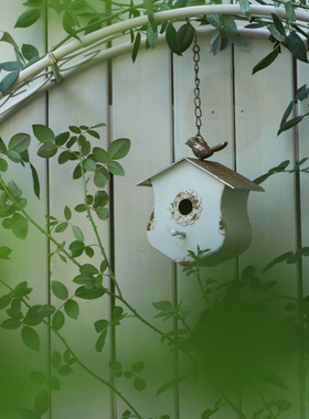 2021新款上市森得铁艺鸟屋静物