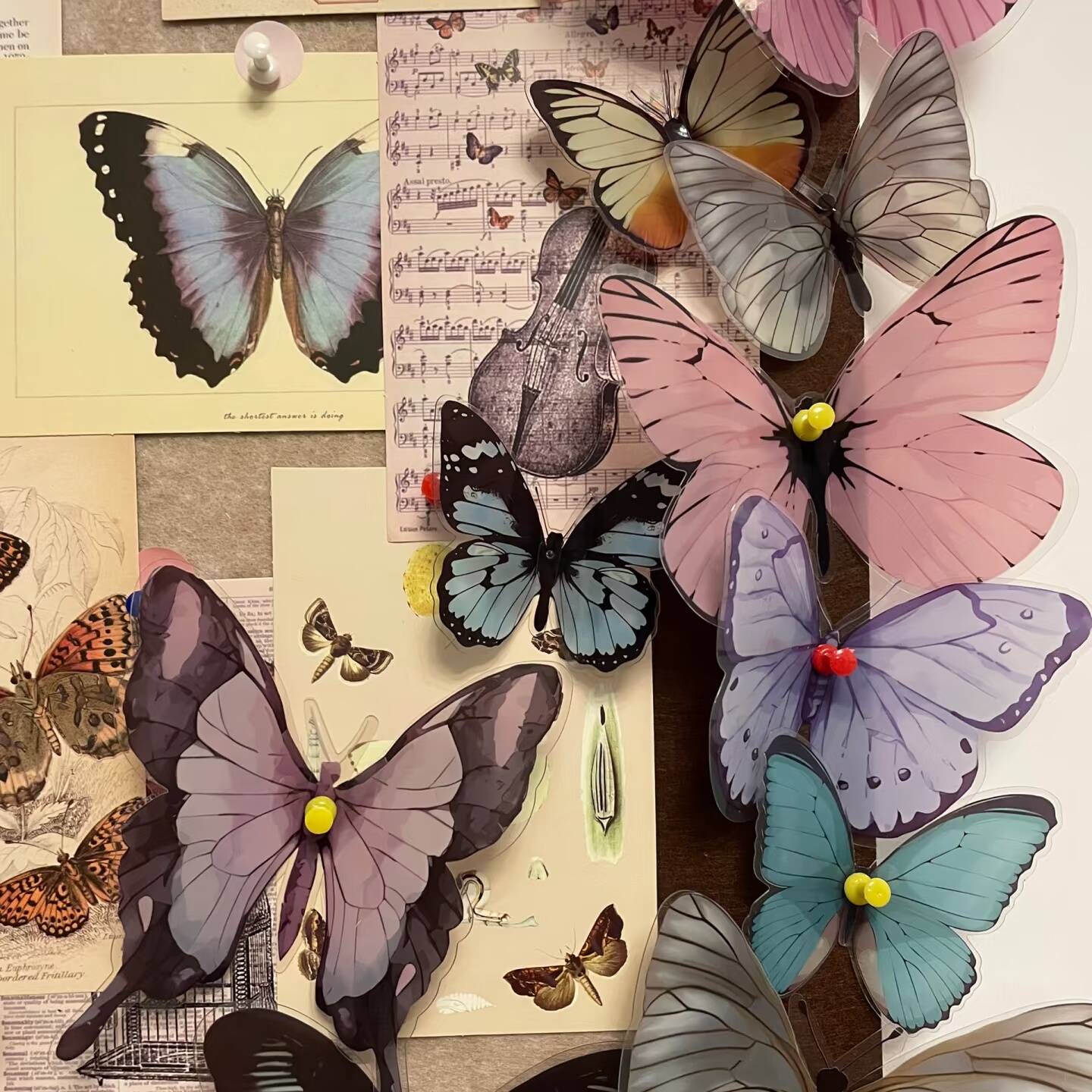 小红薯蝴蝶毛毡板墙贴照片墙留言软木板展示卧室玄关背景墙装饰画,淘宝优惠券,粉丝福利购,淘宝优惠卷