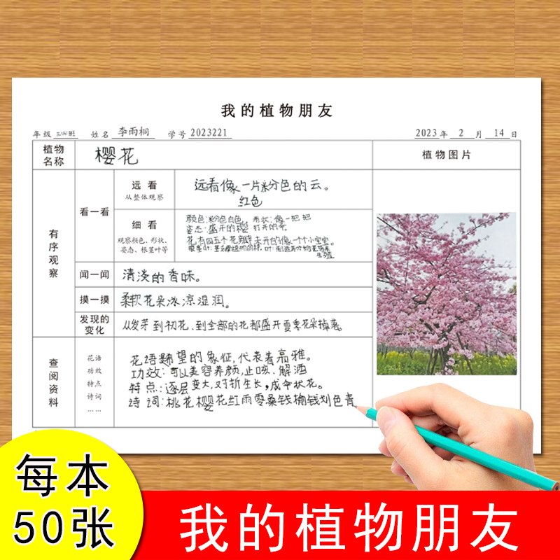 我的植物朋友小学生一年级二年级三年级四年级五年级六年级语文下册同步专项植物触感花香生长变化记录观察表