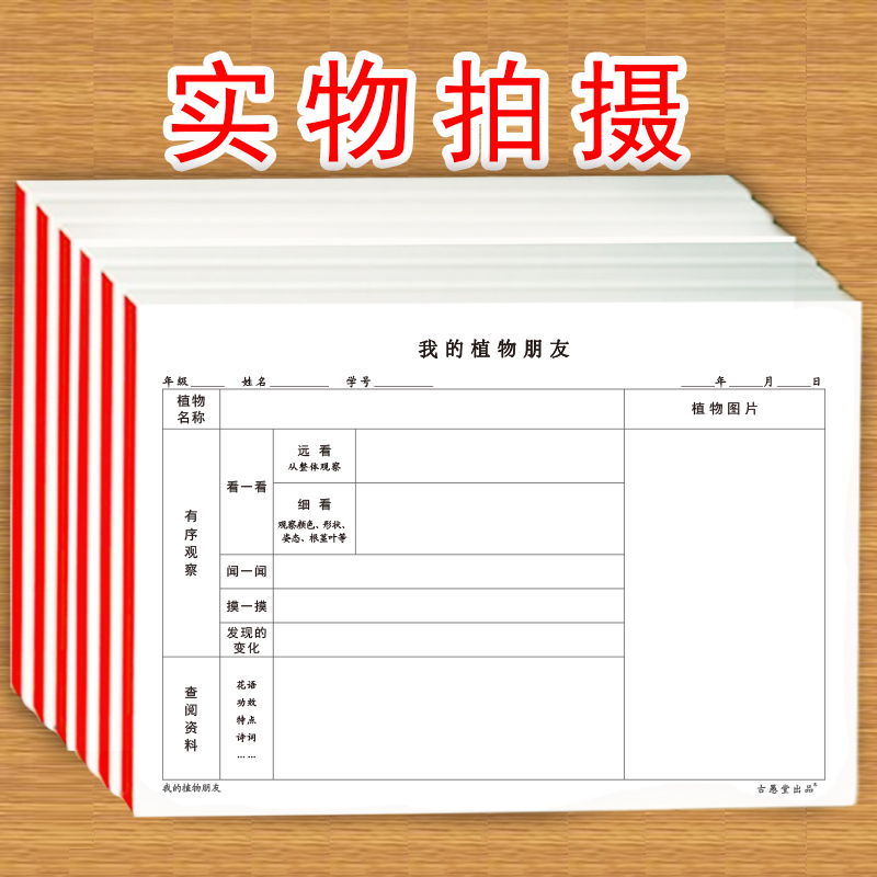 我的植物朋友小学生一年级二年级三年级四年级五年级六年级语文下册同步专项植物触感花香生长变化记录观察表