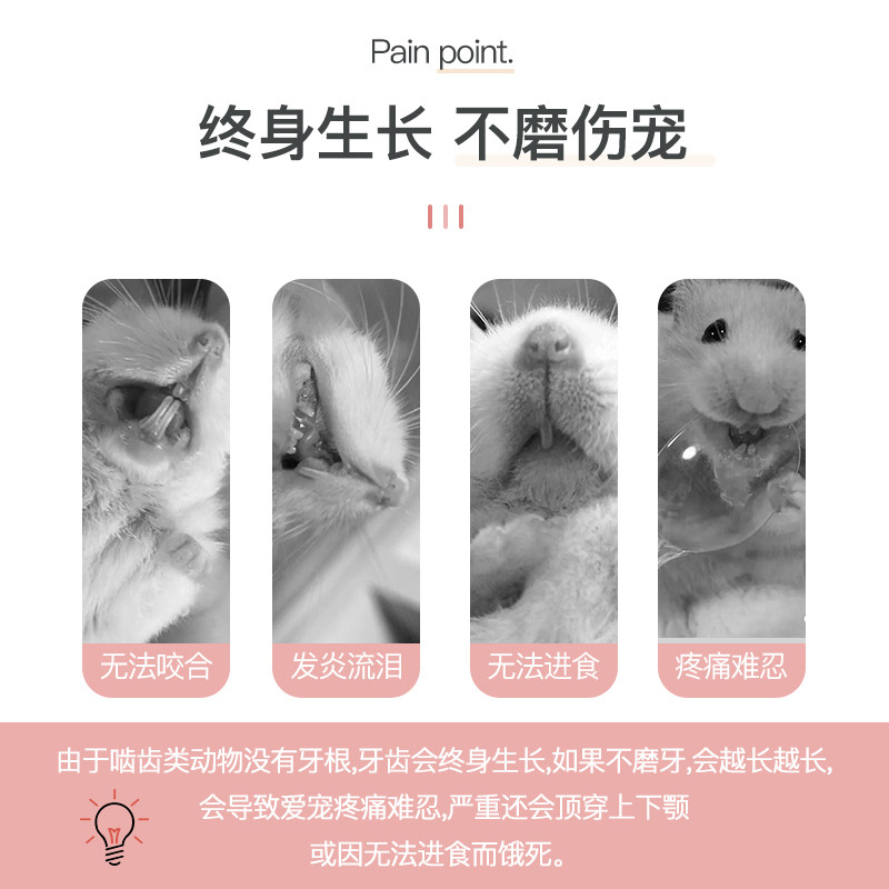 yee仓鼠磨牙零食棒棒糖五谷苹果枝金丝熊花枝鼠营养用品套餐齐全,淘宝优惠券,粉丝福利购,淘宝优惠卷