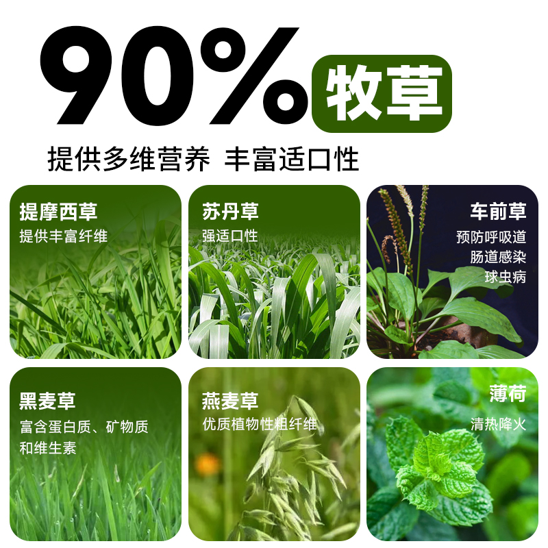 yee成兔粮薄荷高纤1kg饲料膨化提摩西美毛幼兔垂耳侏儒兔豚鼠专用 - 图0