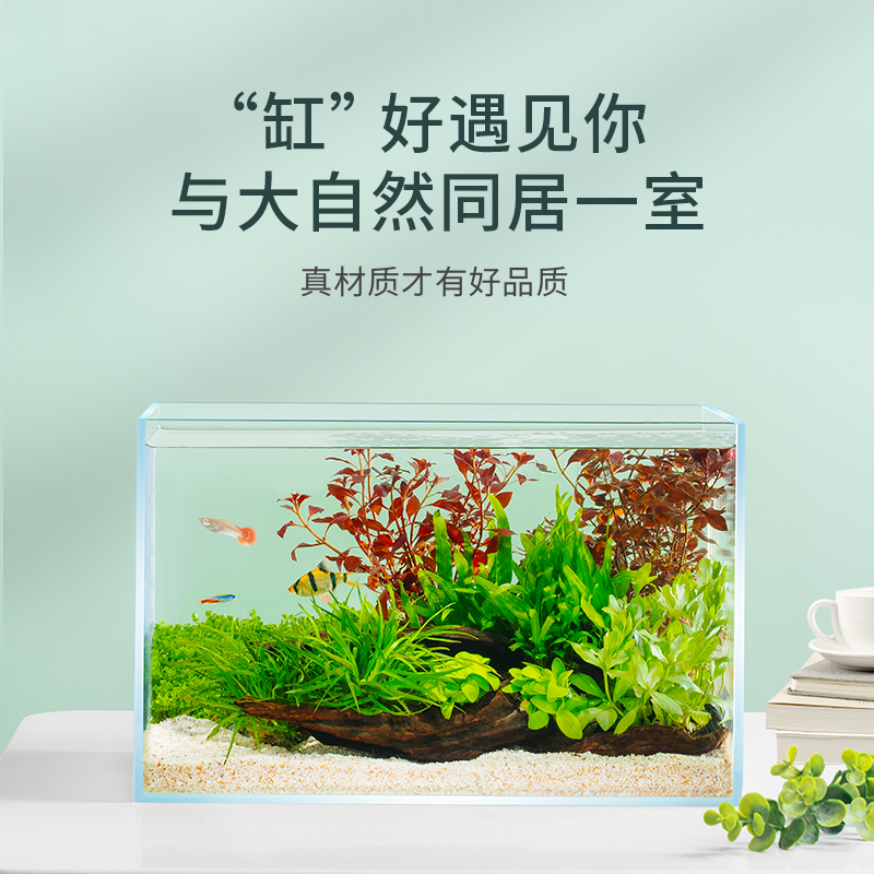yee鱼缸小型客厅桌面超白玻璃生态金鱼乌龟饲养缸造景专用水草缸-图0