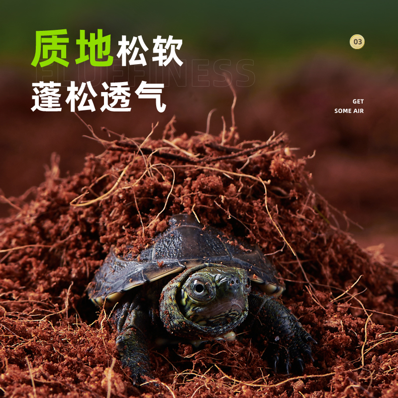 yee免泡发椰土椰砖乌龟冬眠用品蜘蛛蝎子黄缘垫材草龟保暖苔藓用