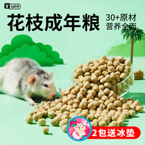 yee flower branch rat grain high protein special main grain adult rat grain self-matching feed grinding tooth hamster supplies