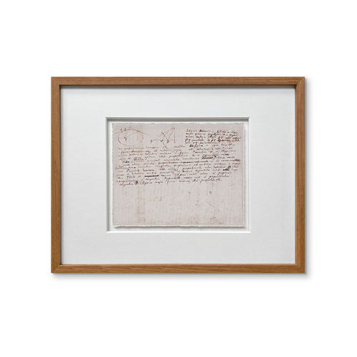 【牛顿手稿】自然哲学家居小众中古复古装饰画摆件客厅壁画实木画 - 图3