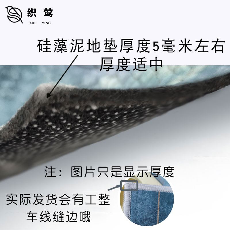 天津津门虎队足球迷硅藻泥地垫子浴室防滑室内玄关入户进门口脚垫