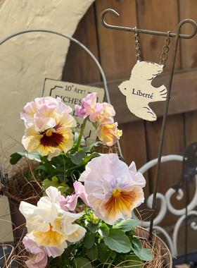 田园动物花插阳台花园装饰复古