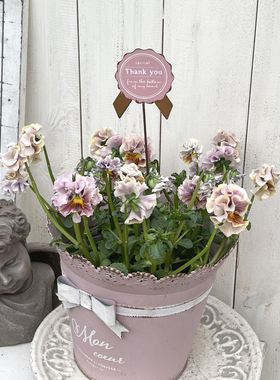 铁艺复古做旧爱心蝴蝶结thankyou感谢祝福礼品装饰小花插花盆装饰