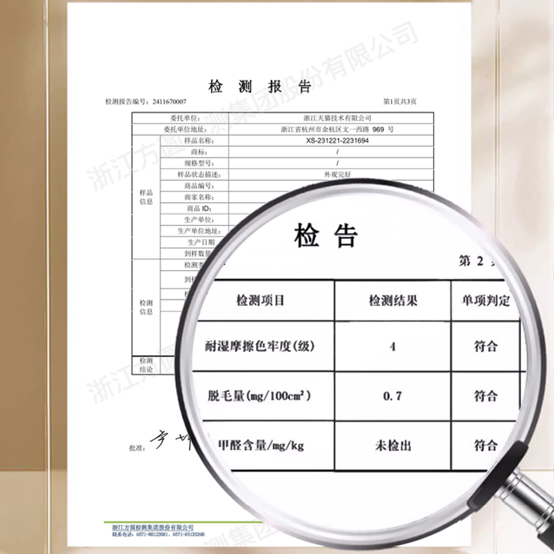 法式地毯客厅2024新款免洗可擦洗卧室床边毯家用轻奢高级沙发地垫