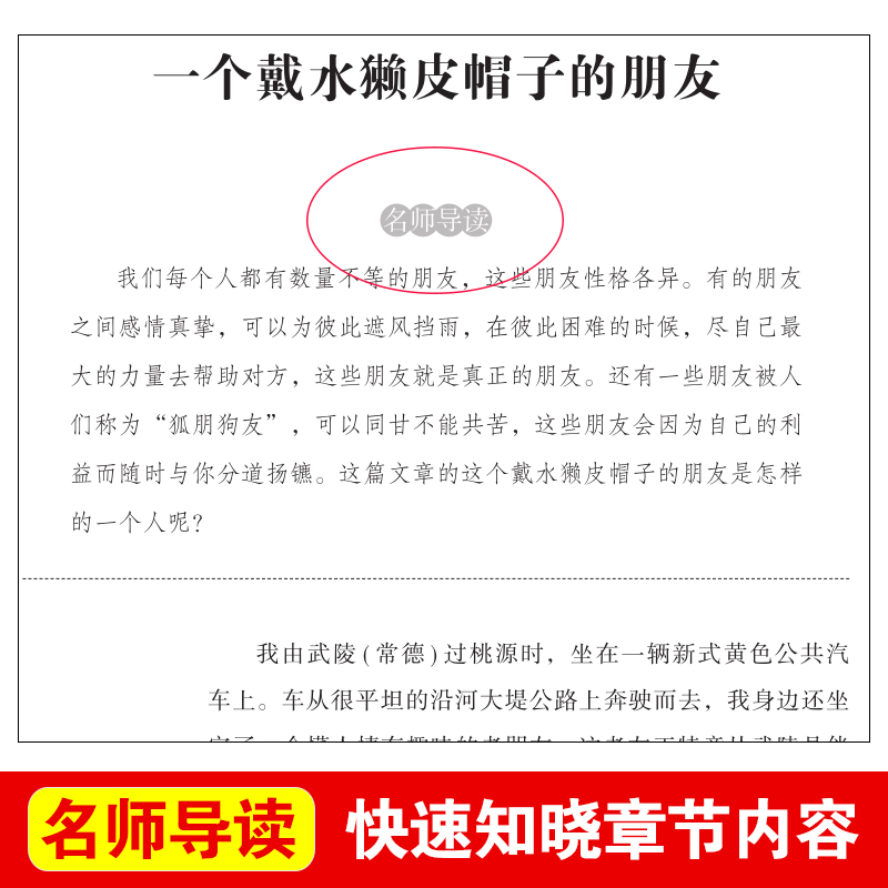 7七年级上下册阅读快乐读书吧 猎人笔记+湘行散记+白洋淀纪事+镜花缘+骆驼祥子+海底两万里7年级初中学生法全阅读原完必布书读版 - 图1