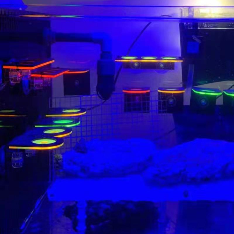 荧光珊瑚支架海缸发光亚克力架托盘托架繁殖悬浮磁吸造景底座基座 - 图2