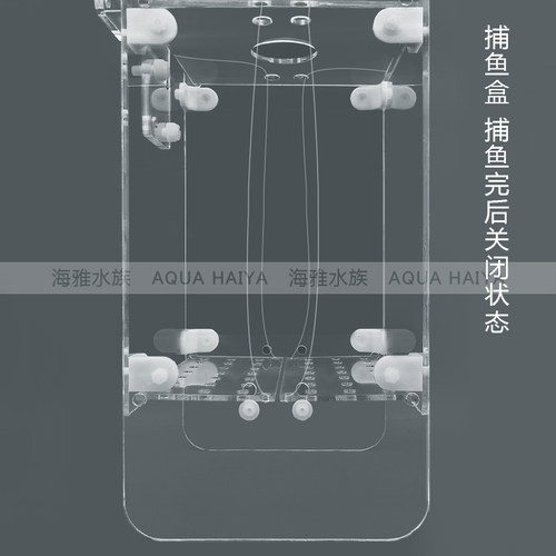 龙祥宫海水鱼捕鱼盒诱捕盒抓鱼盒喂食圈亚克力隔离盒海缸逮鱼大号 - 图3