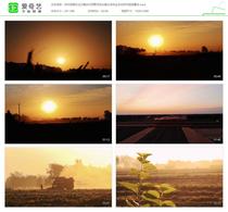 农村田园日出日落乡村田野河流水稻水田农业丰收农村视频素材