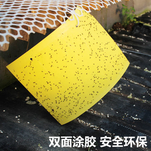 黄板双面粘虫板诱虫蓝板大棚果园蓟马沾虫纸果蝇诱捕器小飞虫针蜂 - 图3