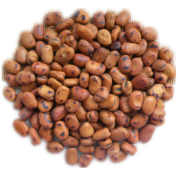 包邮干炒大豆 铁锅炒蚕豆 铁豆炒货散装零食 耐嚼减压 张家口特产,淘宝优惠券,粉丝福利购,淘宝优惠卷