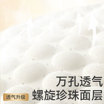 T祺安乳木果金装超薄透气新生儿无痕纸尿裤宝宝拉拉裤