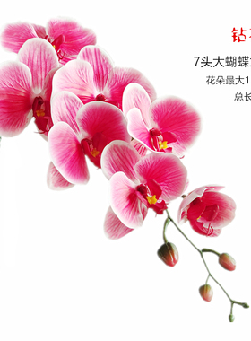 仿真手感单支书房茶几花瓶蝴蝶兰