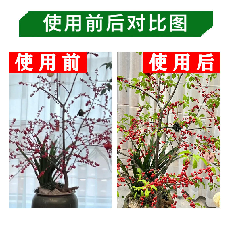 冬青树专用肥北美冬青营养液肥料冻青营养液四季喷叶铁冬青有机肥,淘宝优惠券,粉丝福利购,淘宝优惠卷