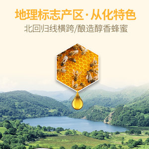 地标荔枝蜜250g*4瓶纯谭氏蜂蜜天然农家自产土蜂蜜广州老字号礼盒