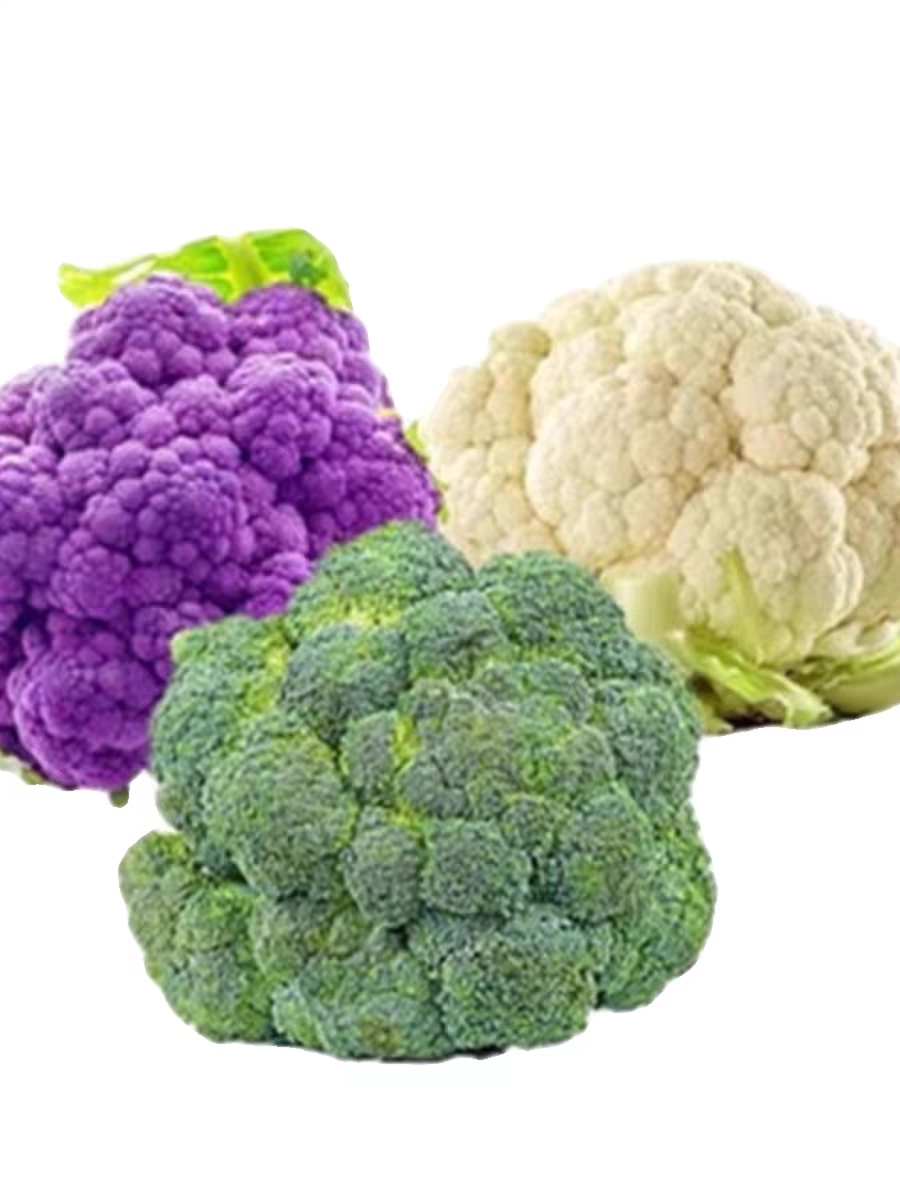 多彩椰菜种子约220粒4.9元原厂彩包四季花菜适合冬天种的菜籽,淘宝优惠券,粉丝福利购,淘宝优惠卷