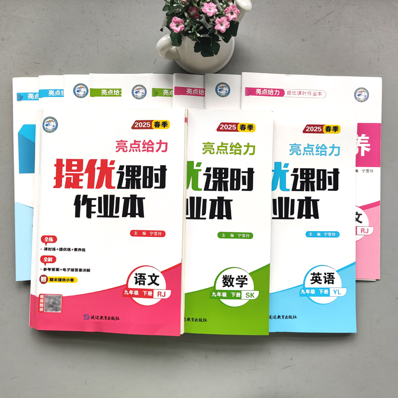 2025春亮点给力提优课时作业本九年级下册 语文人教版数学苏教版英语译林版 9年级下册练习册同步教材基础提优训练课时练习题