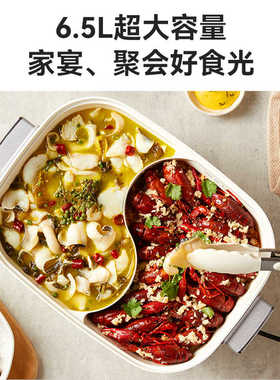 膳魔师鸳鸯电火锅家用电器多功能分体式电锅电煮锅烤涮一体