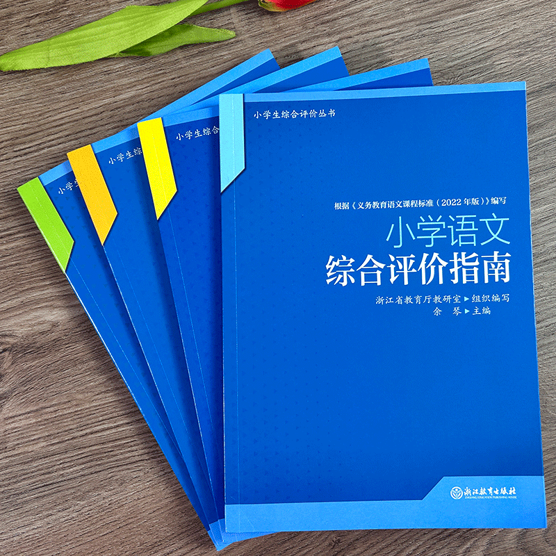 【单本可选】小学学科综合评价指南语数英科小学生综合评价丛书小学教师教育工作者指导用书综合素质评价理论实践研究指导用书-图0