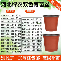 Bicolor basin seedling basin thickened disposable simple flower pot plastic large number multi-meat cuttage basin nutrient cup seedling cup