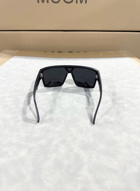 出口欧美品牌正品偏光太阳镜新款网红大框防风骑行眼镜时尚镀膜