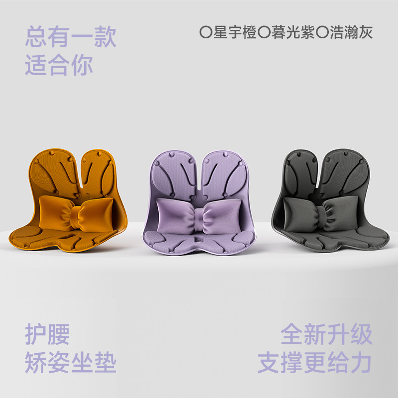 护腰矫姿坐垫Air款护腰坐垫腰部支撑靠垫工位久坐神器护腰坐椅
