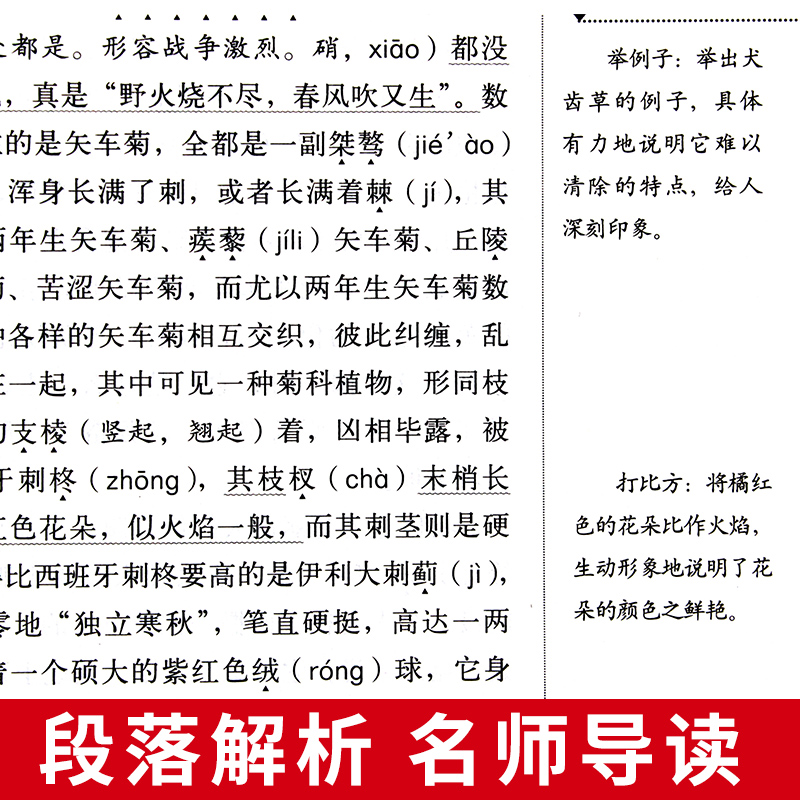 八年级必读正版名著4册 红星照耀中国和昆虫记原著完整版钢铁是怎样炼成的经典常谈初中课外阅读书籍上初二上册下册课外书红心闪耀 - 图3