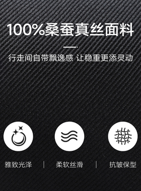 【奥特莱斯撤柜】浪登男士经典纯色含桑蚕丝商务正装箭头型领带