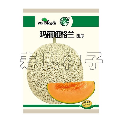 甜瓜种子玛丽娅格兰宽网纹礼品红肉厚甜软日本杂交孑水果种籽寿光 - 图3