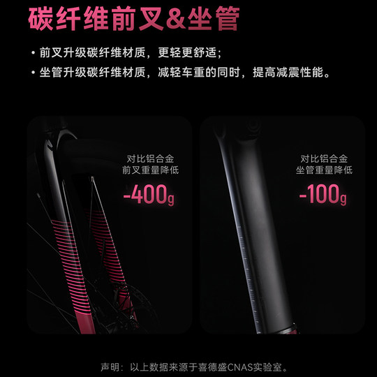 xds喜德盛25新款AD350公路车成人自行车碳纤维前叉带功率计单车