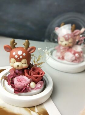球形玻璃罩容器圣诞节13cm永生花